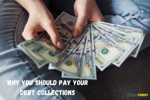 licensed moneylender