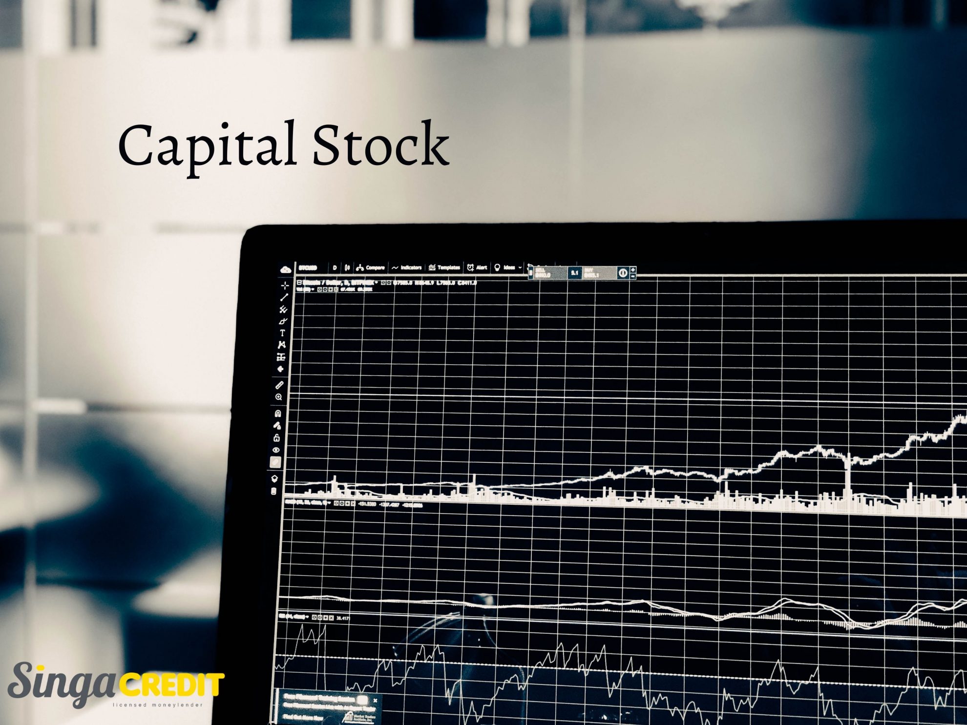 Is Capital Stock Asset